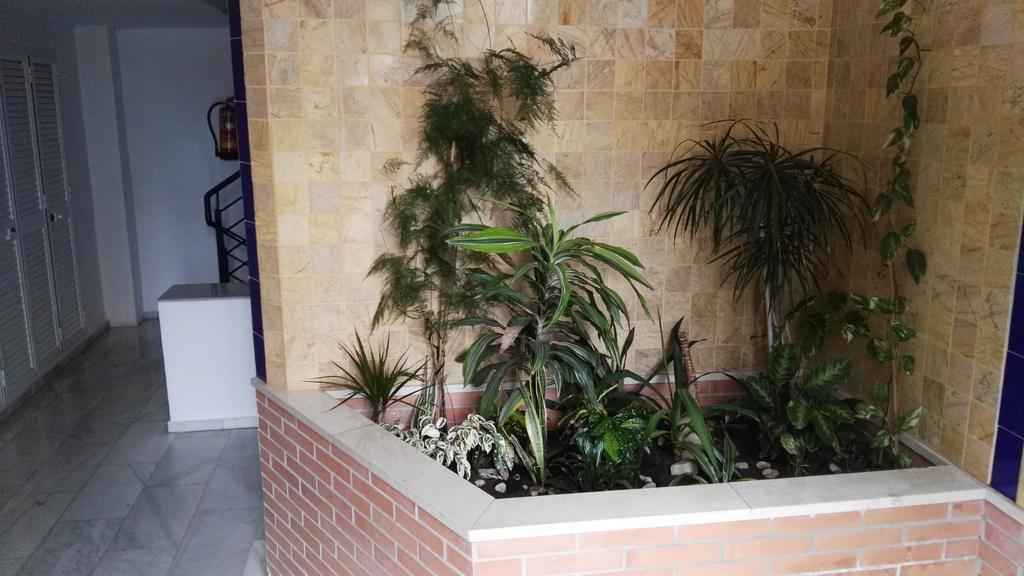 Fan Flat Eugenio (Adults Only) Apartment มาลากา ภายนอก รูปภาพ